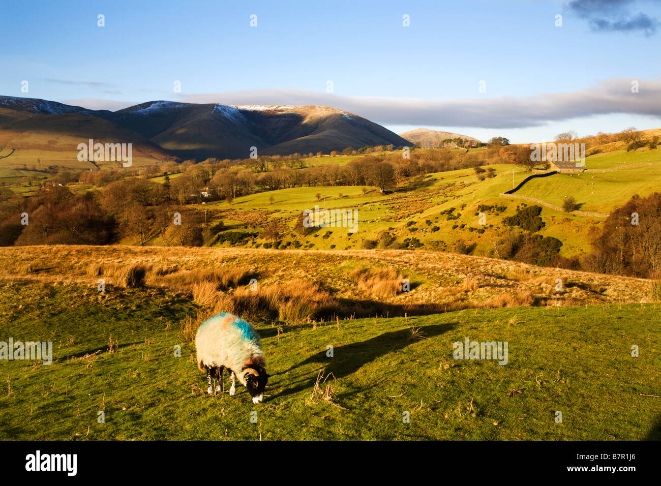 View to the Howgill Fells from Garsdale Yorkshire Dales England Stock Photo