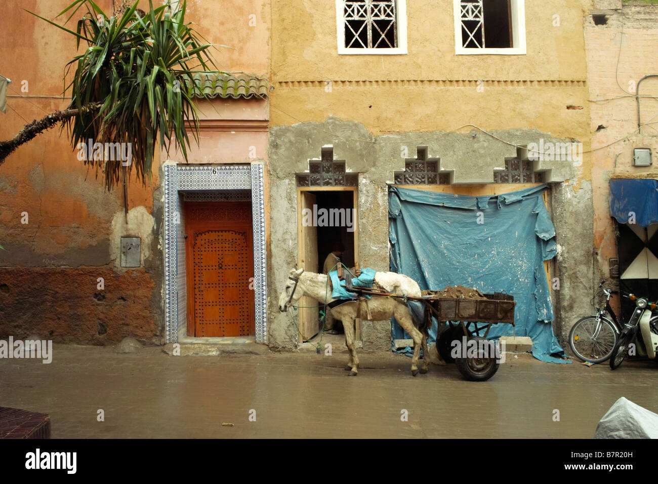 donkey and cart in Marrakesh  Marrakech Morocco Morrocco Moroco Stock Photo