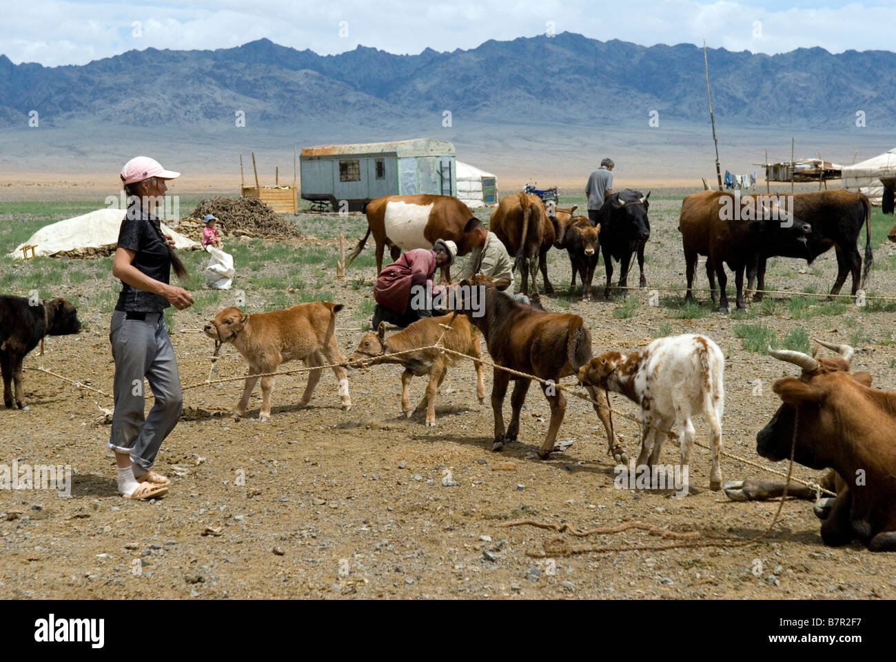 Nomadic herders in central Gobi Desert Stock Photo
