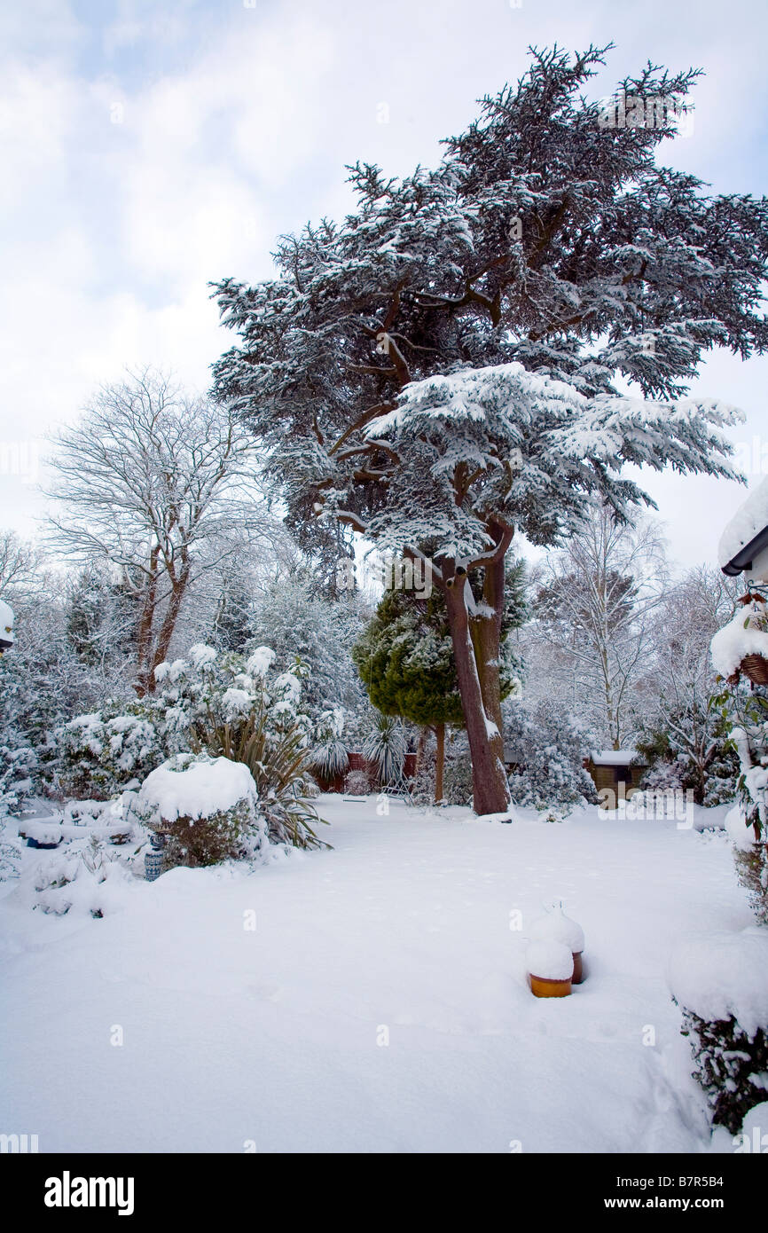 Snowy winter garden England Stock Photo
