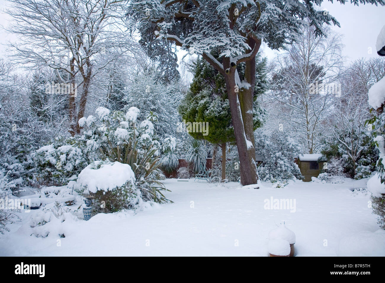 Snowy winter garden England Stock Photo