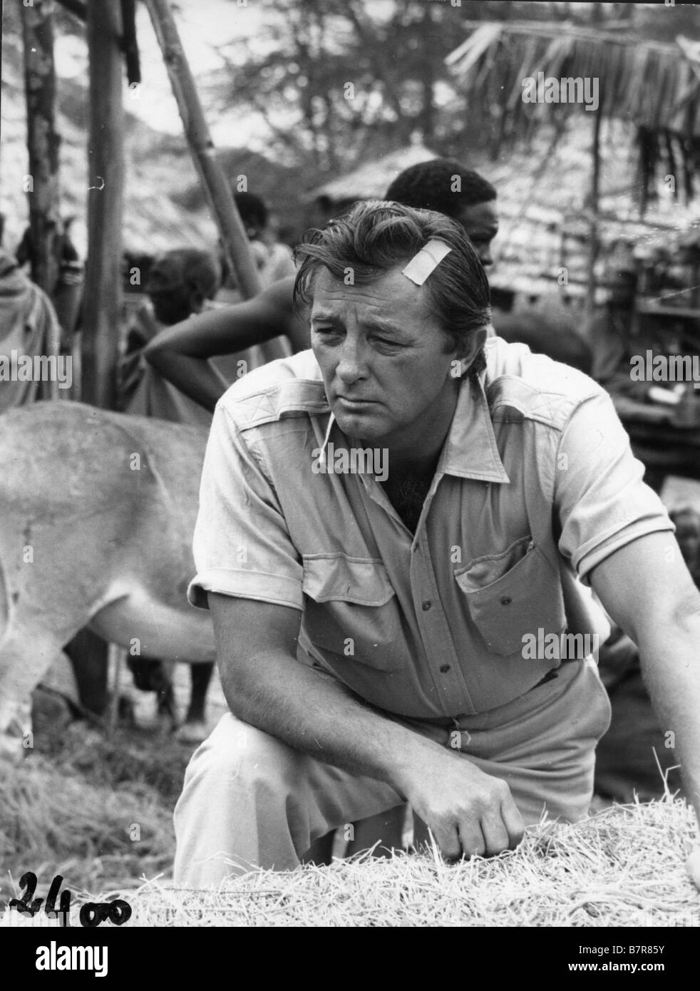 L'aventurier du Kenya Mister Moses Year: 1965 USA Robert Mitchum, Director: Ronald Neame Stock Photo