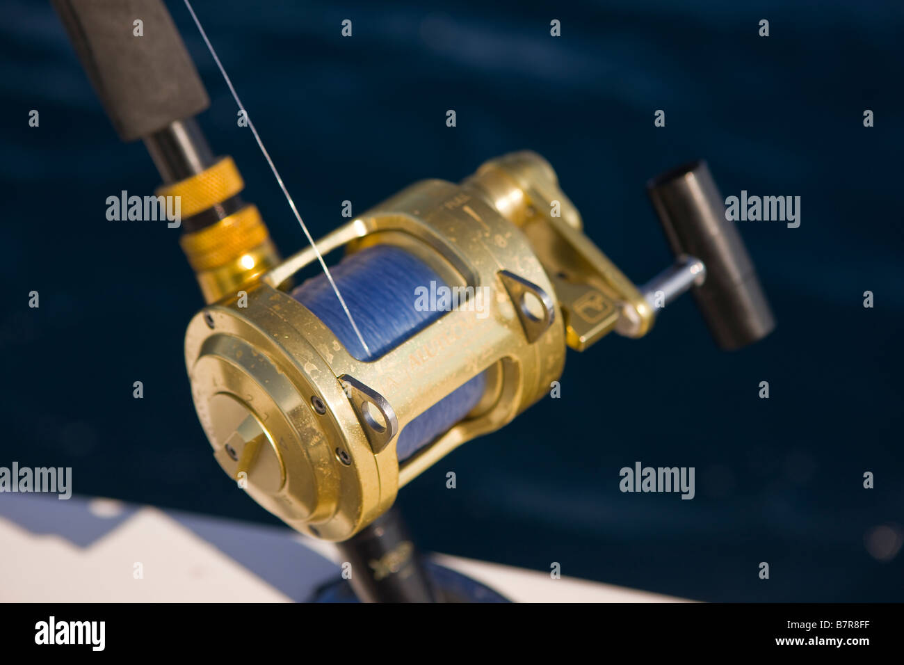 best small fishing reel Best Fishing Reels of 2026, Tested and Reviewed
