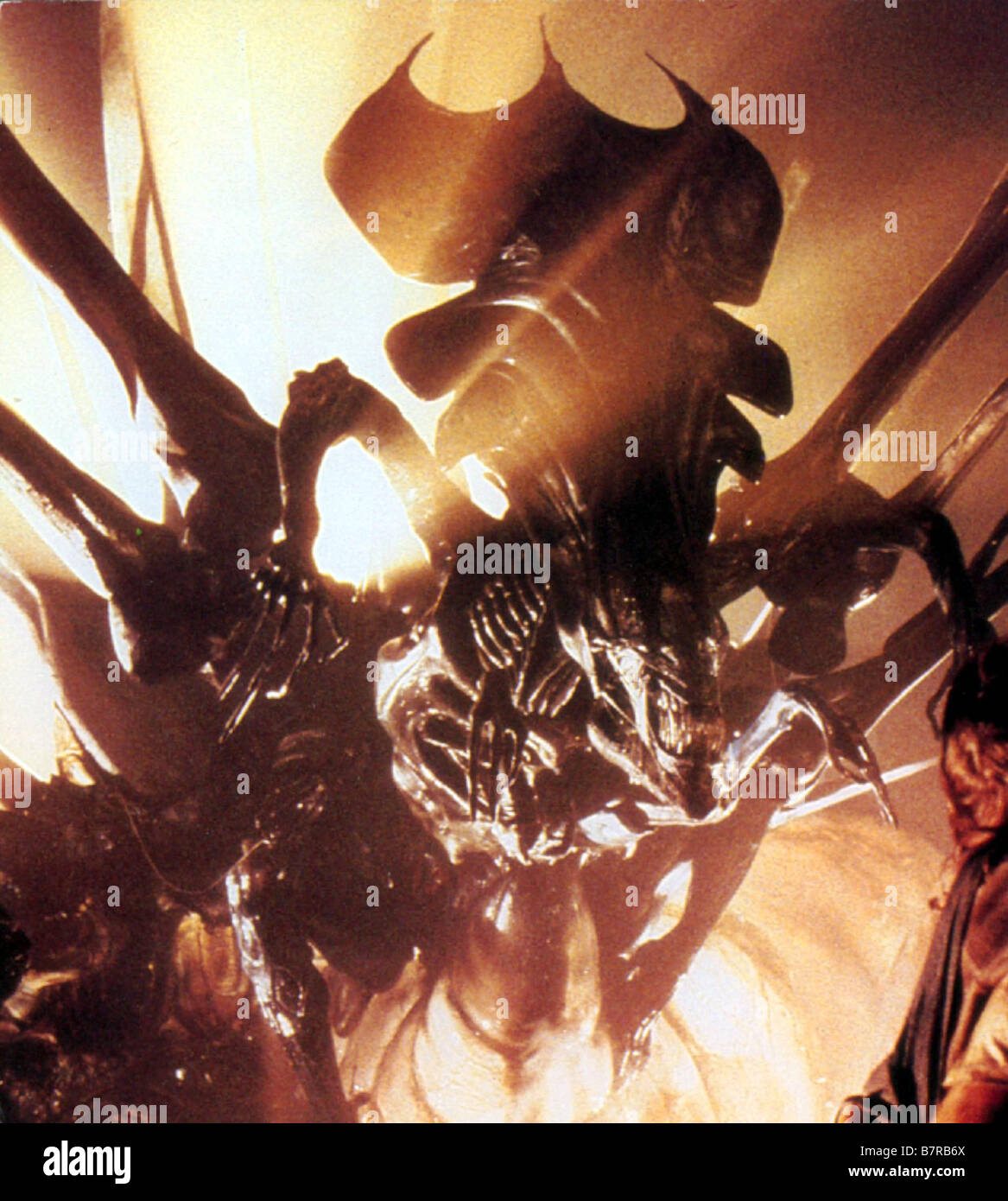 SKY DOT alien aliens vs predator requiem predator wallpaper