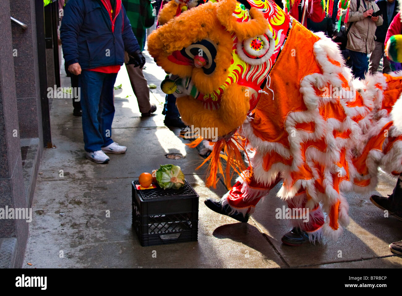 hanging lettuce chinese new year