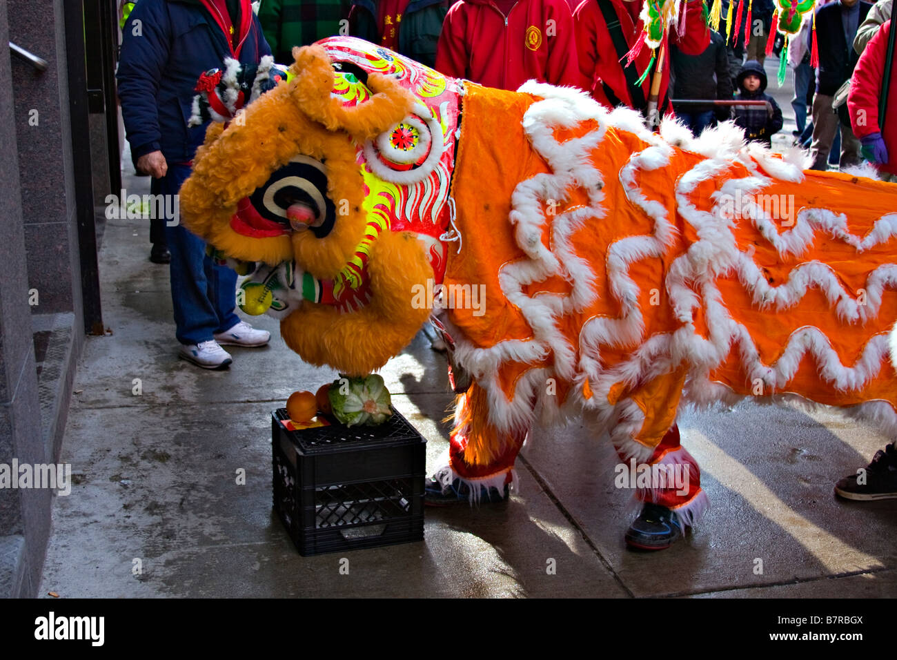 chinese new year lettuce and oranges