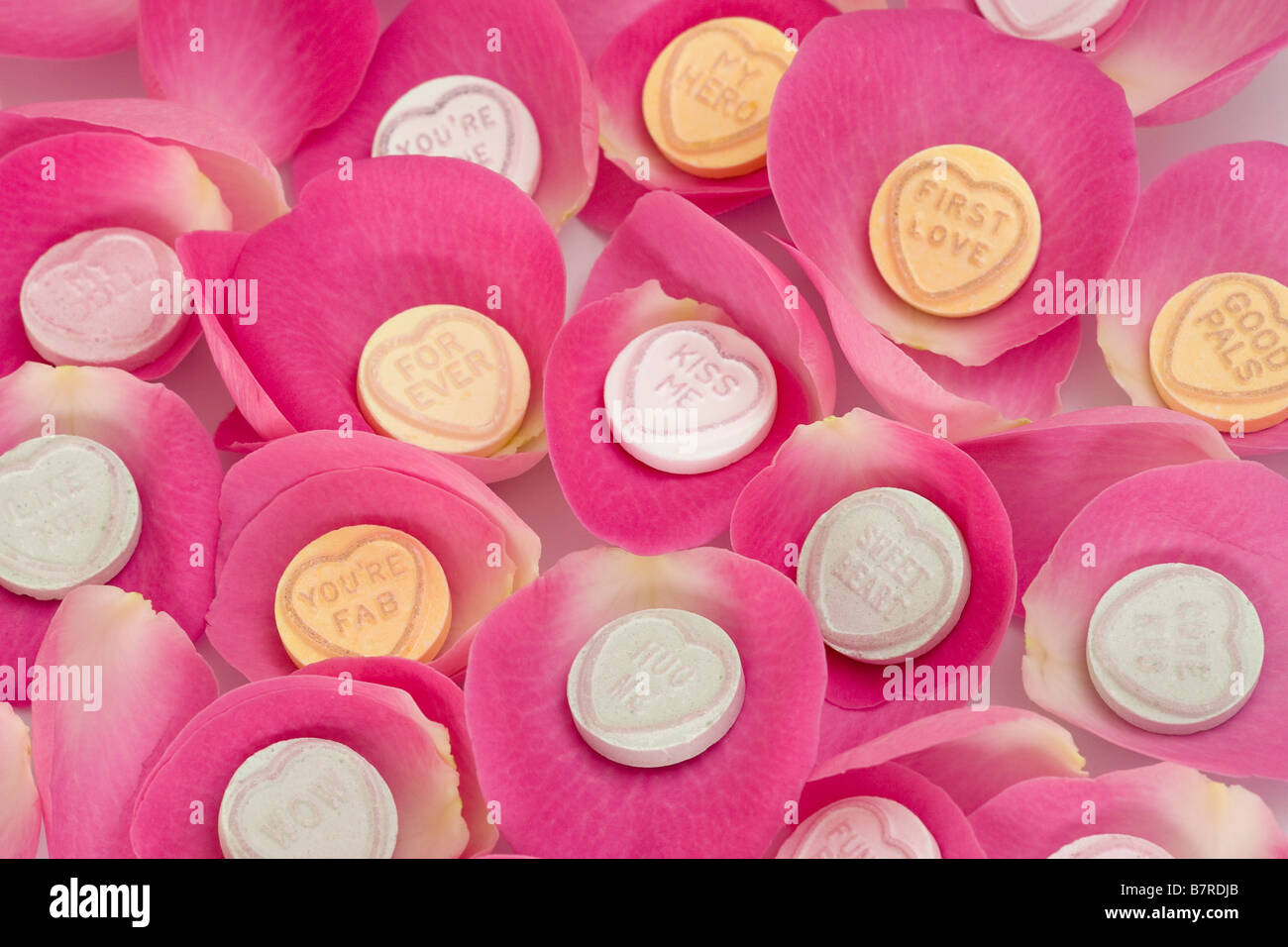 Love hearts sweets on pink petals Stock Photo