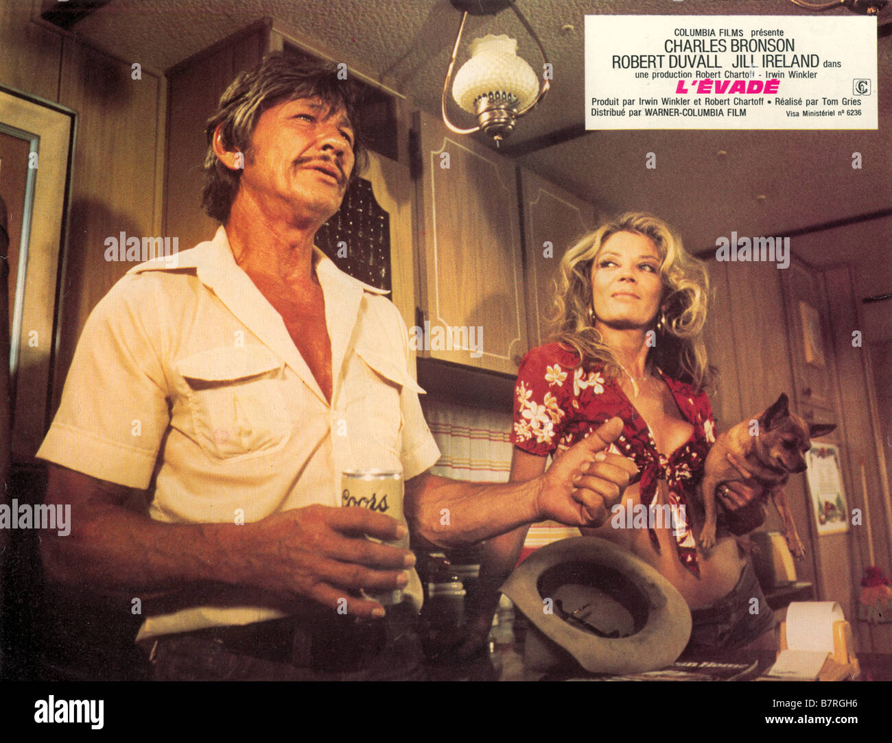 L'evade Breakout  Year: 1975 USA Charles Bronson, Sheree North USA : 1975  Director : Tom Gries Stock Photo