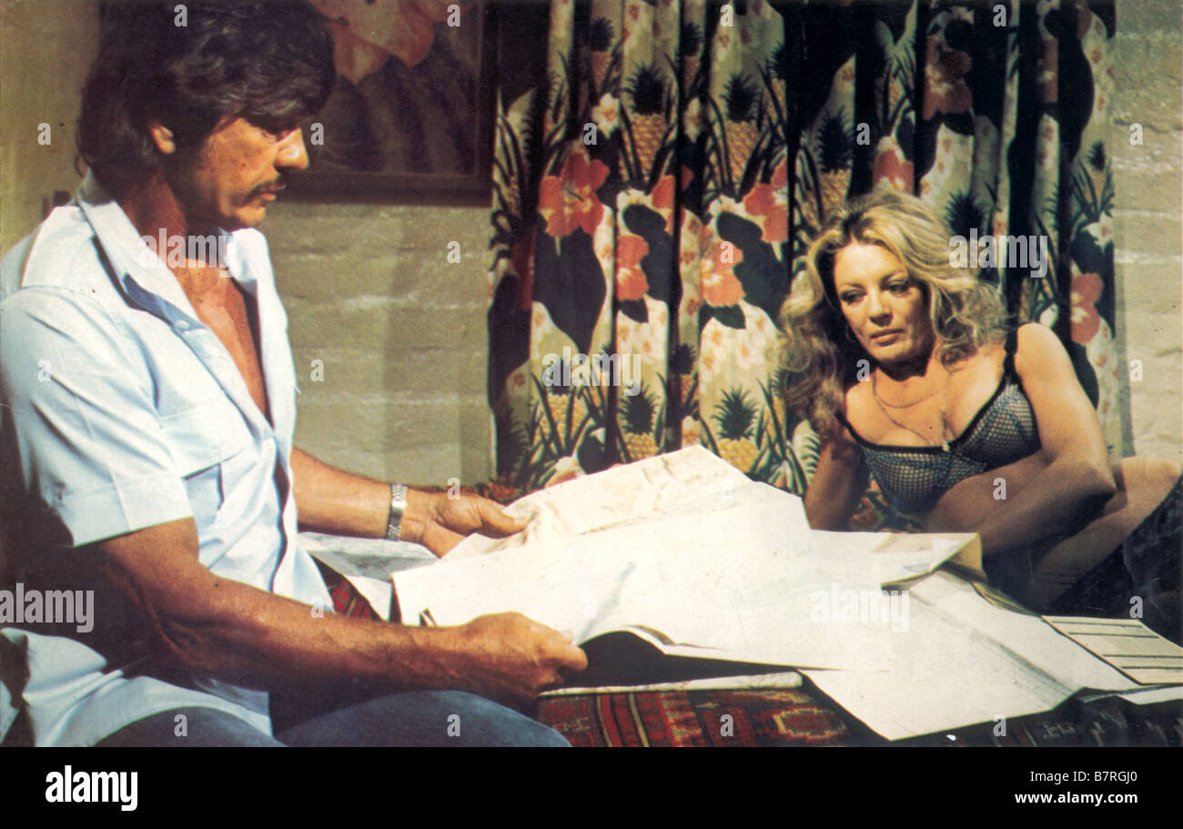 L'evade Breakout  Year: 1975 USA Charles Bronson, Sheree North USA : 1975  Director : Tom Gries Stock Photo