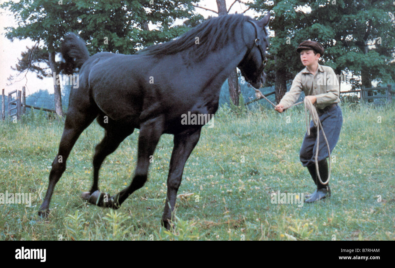 The Black Stallion  Year: 1979 USA Director: Carroll Ballard Kelly Reno Stock Photo