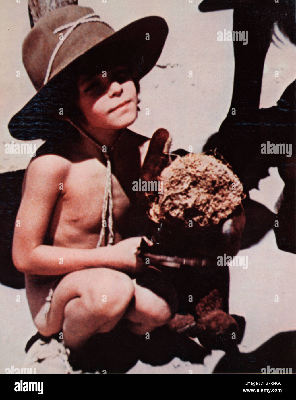 El topo hires stock photography and images Alamy El topo hires stock photography and images Alamy