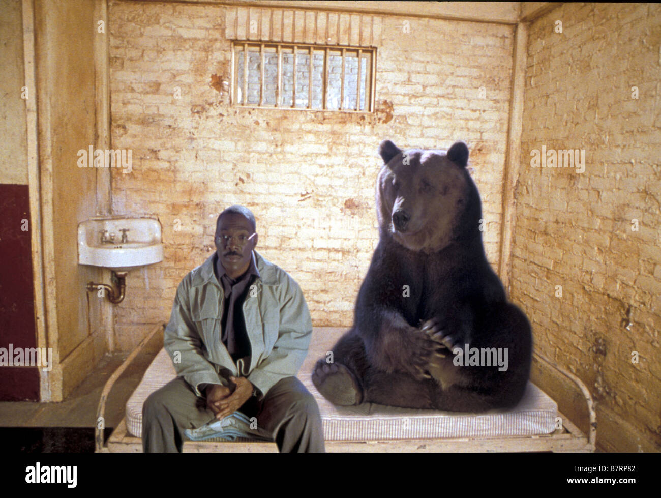 Dr. Dolittle 2 Year : 2001 USA Director : Steve Carr Eddie Murphy Stock ...