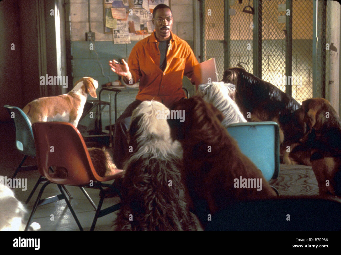 Dr. Dolittle 2 Year : 2001 USA Director : Steve Carr Eddie Murphy Stock ...