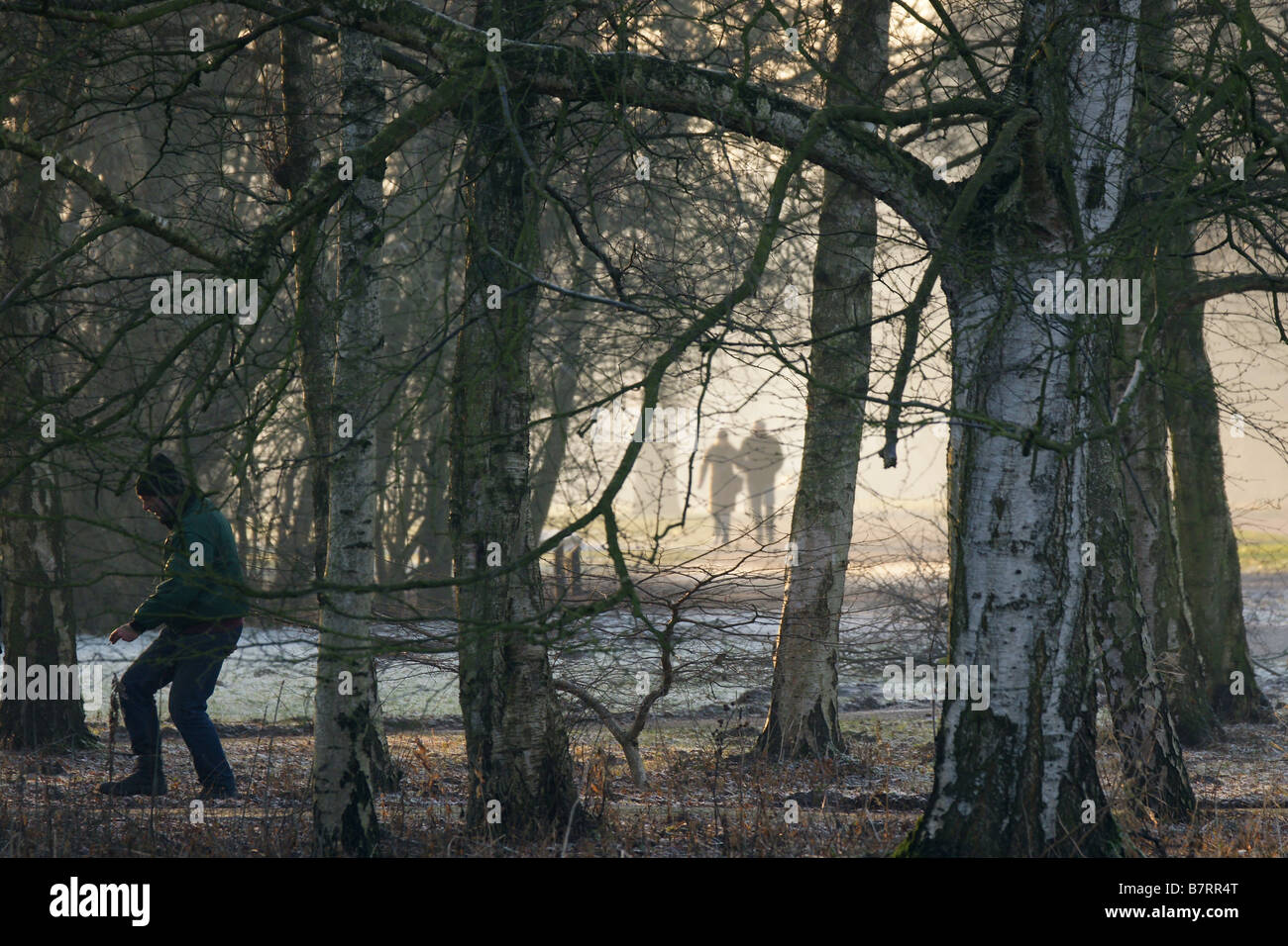 Man male lurking hiding walking alone in forest behind bushes trees shadow  while couple enjoying sunshine Stock Photo - Alamy