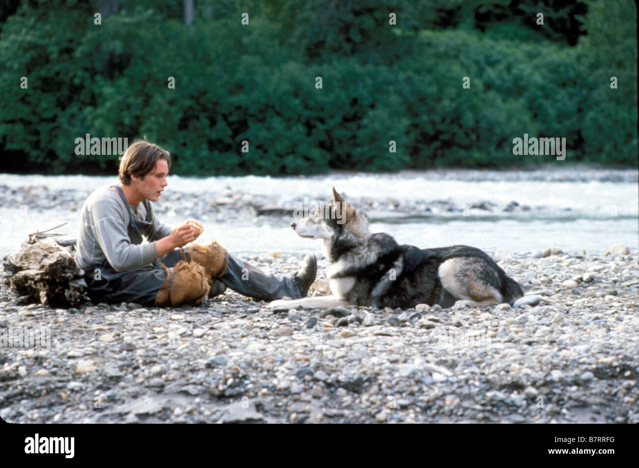 White fang hi-res stock photography and images - Page 2 - Alamy
