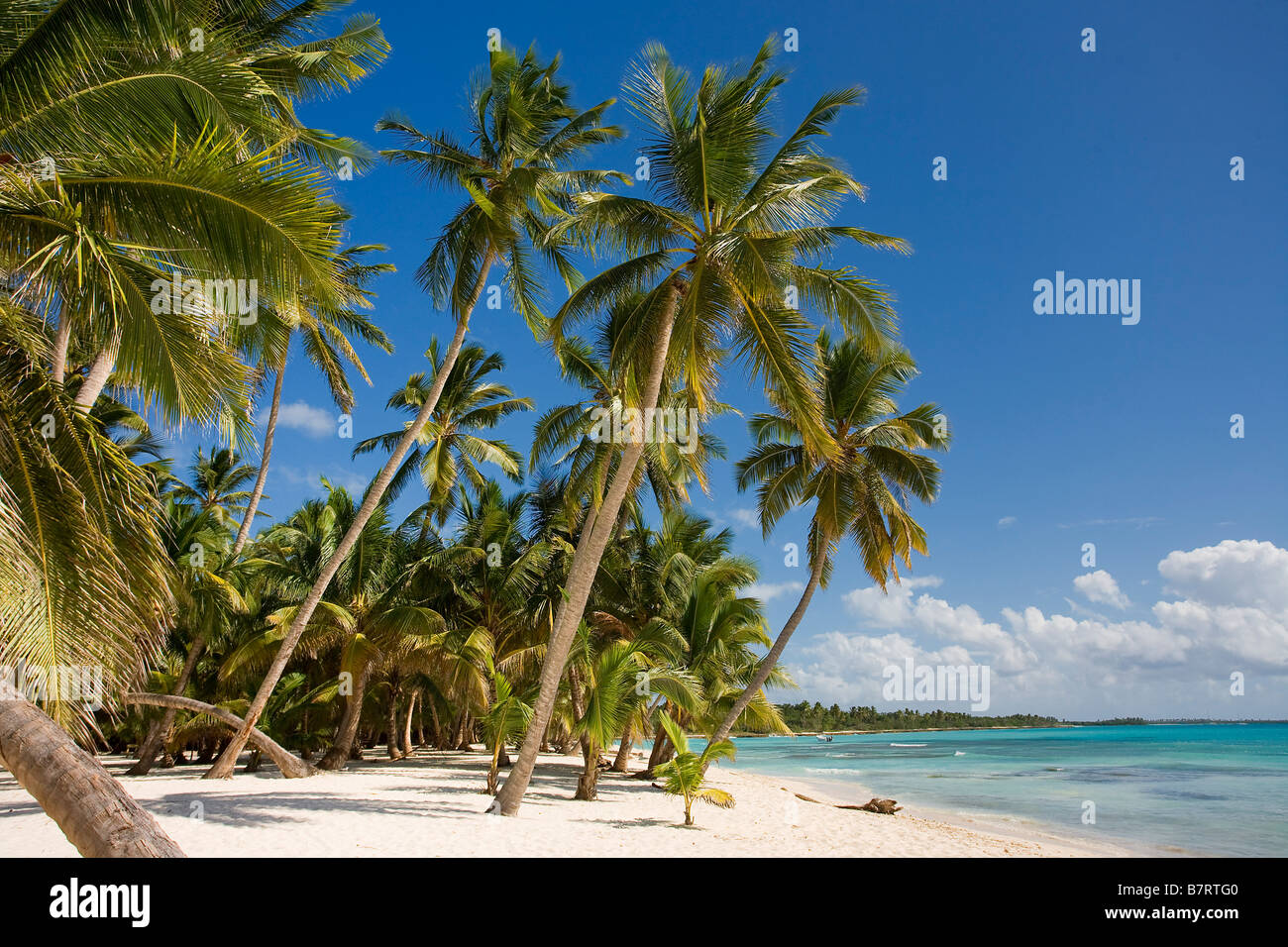 BEACH ON SAONA ISLAND PARQUE NATIONAL DEL ESTE DOMINICAN REPUBLIC CARIBBEAN Stock Photo