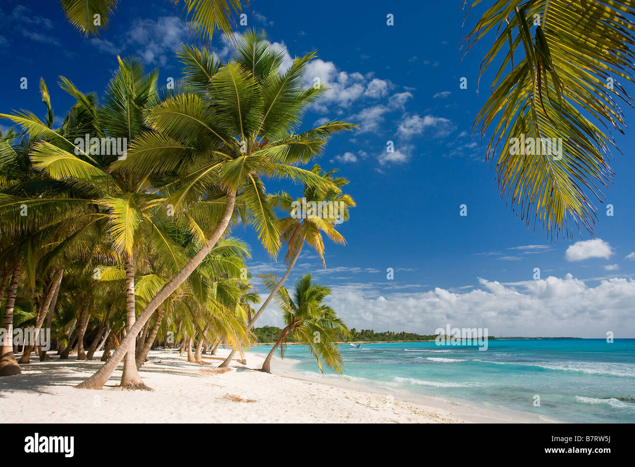 BEACH ON SAONA ISLAND PARQUE NATIONAL DEL ESTE DOMINICAN REPUBLIC CARIBBEAN Stock Photo