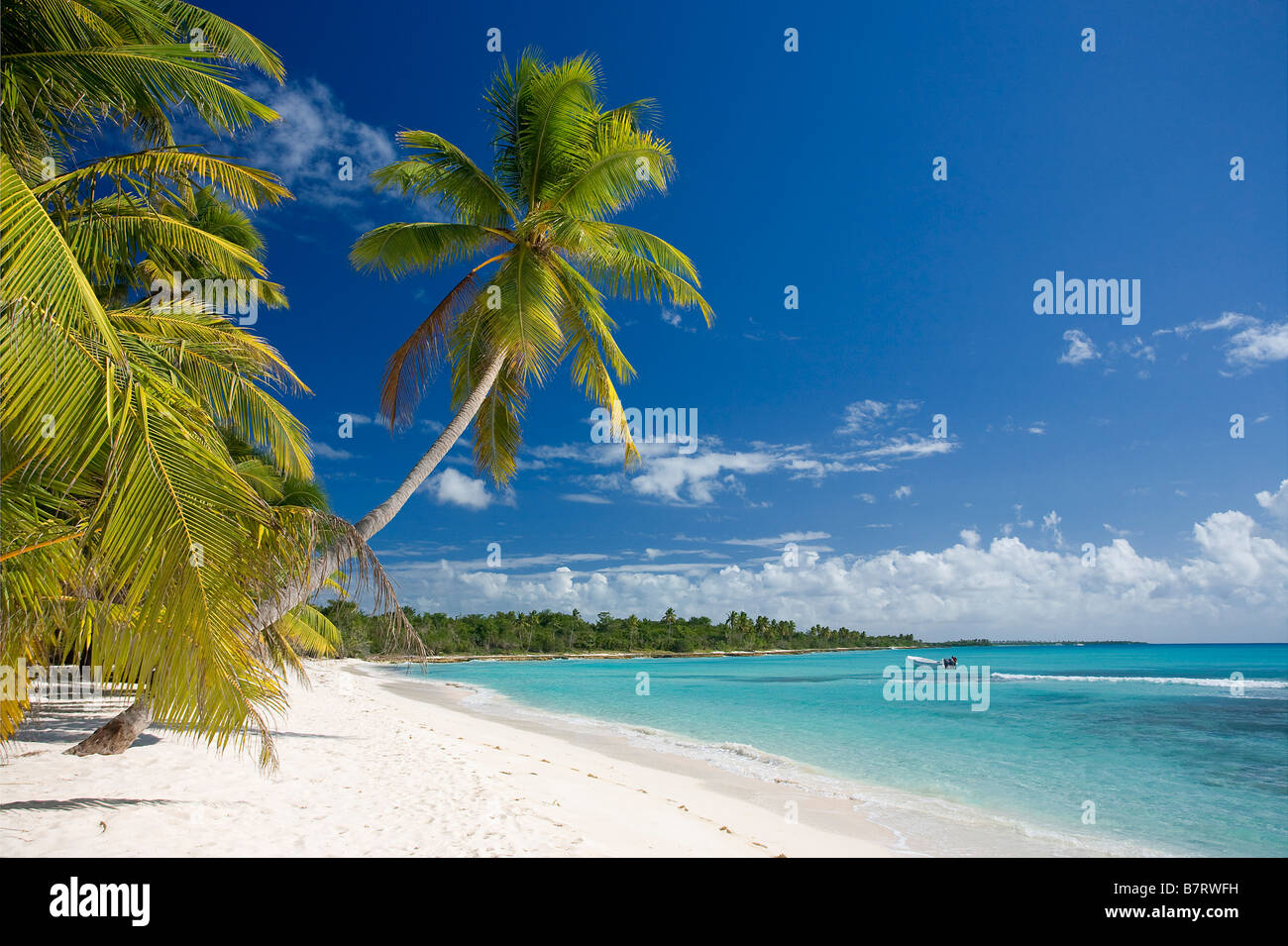 BEACH ON SAONA ISLAND PARQUE NATIONAL DEL ESTE DOMINICAN REPUBLIC CARIBBEAN Stock Photo