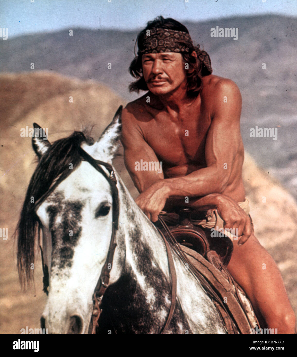 Chato's Land Year : 1971 Director : Michael Winner Charles