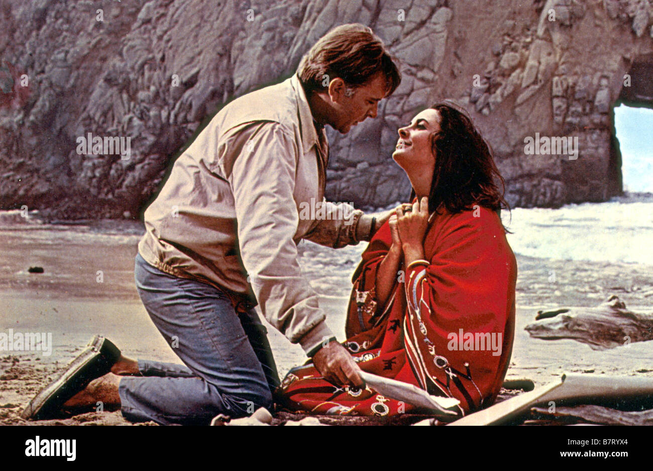 Le chevalier des sables The Sandpiper Year 1965 USA Elizabeth Taylor