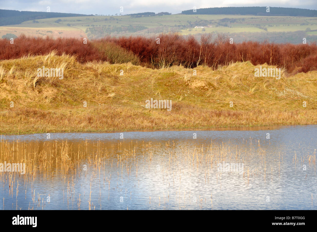 Kenfig national Nature Reserve Pyle Bridgend Glamorgan Wales Stock ...