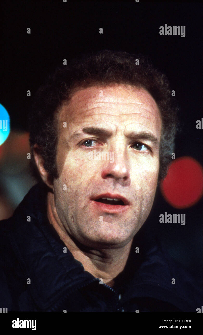 L'impossible temoin Hide in Plain Sight Year 1980 USA James Caan