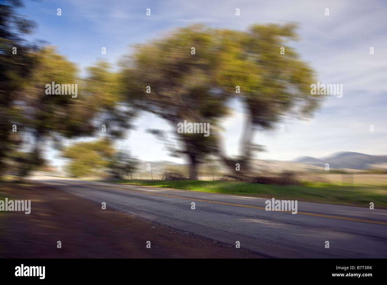 Action pan blur image of tree lined side road off Rt. 1, San Simeon, California, USA Stock Photo
