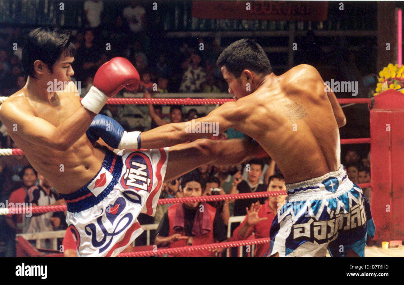 Parinya charoenphol hires stock photography and images Alamy