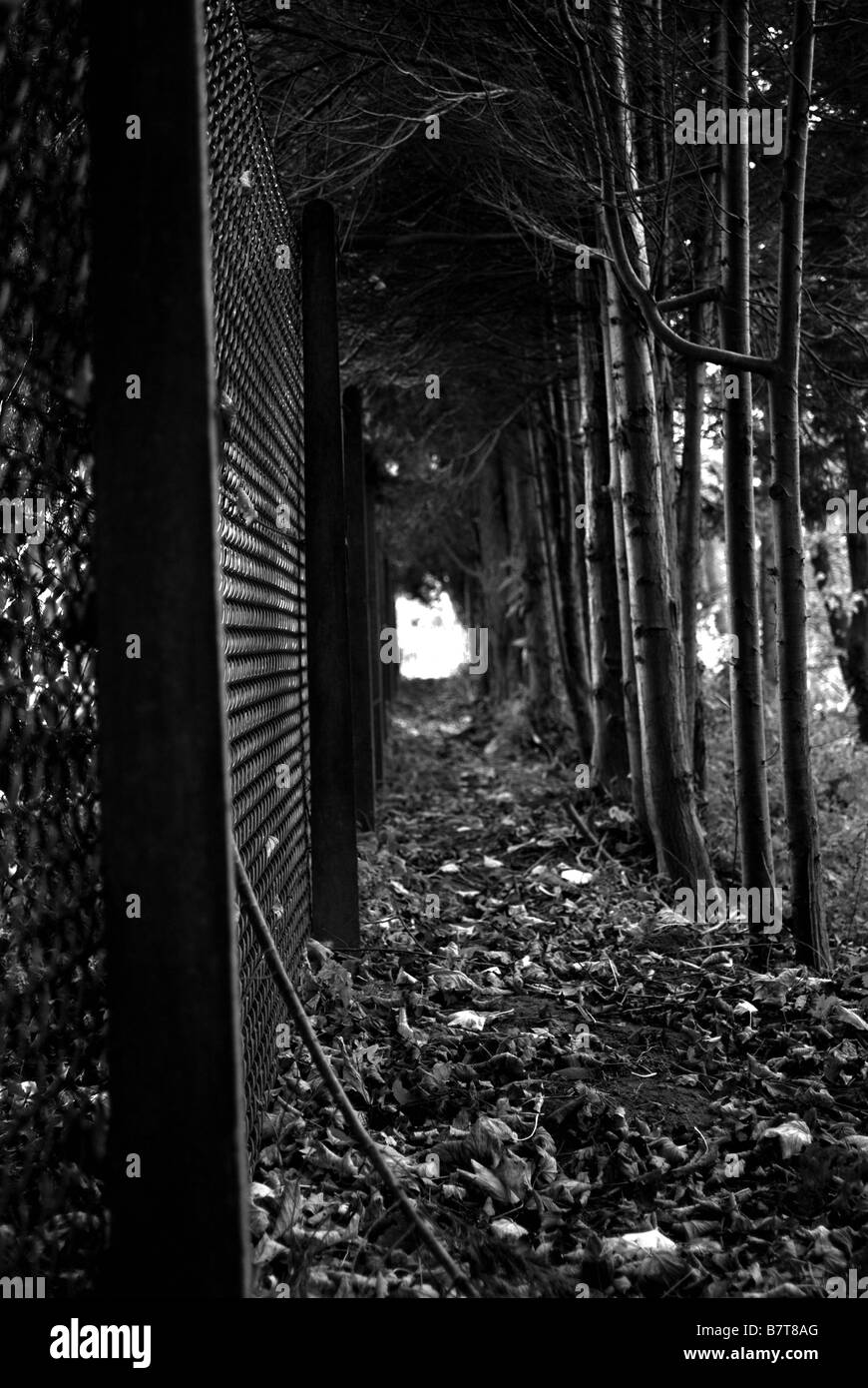 Tunnel of light through fence and trees on the river bank Stock Photo