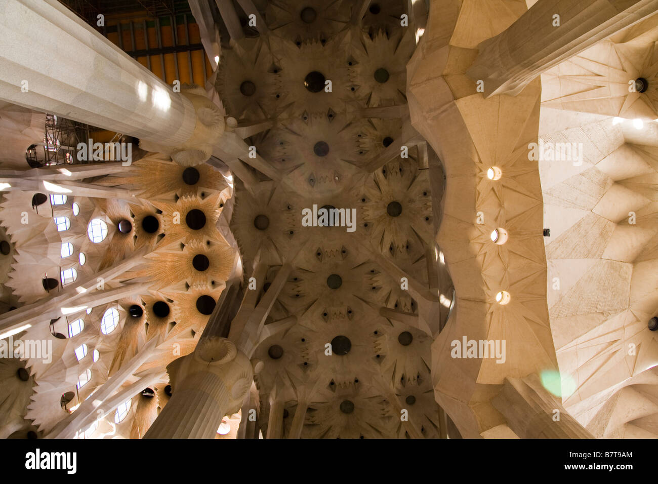 Sagrada familia ceiling hi-res stock photography and images - Alamy
