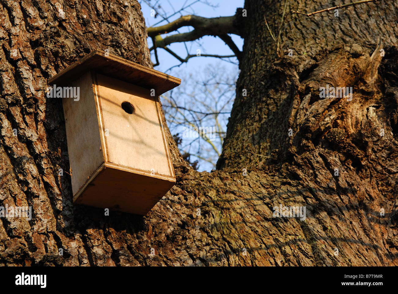 Bird Nesting Box Stock Photo - Alamy