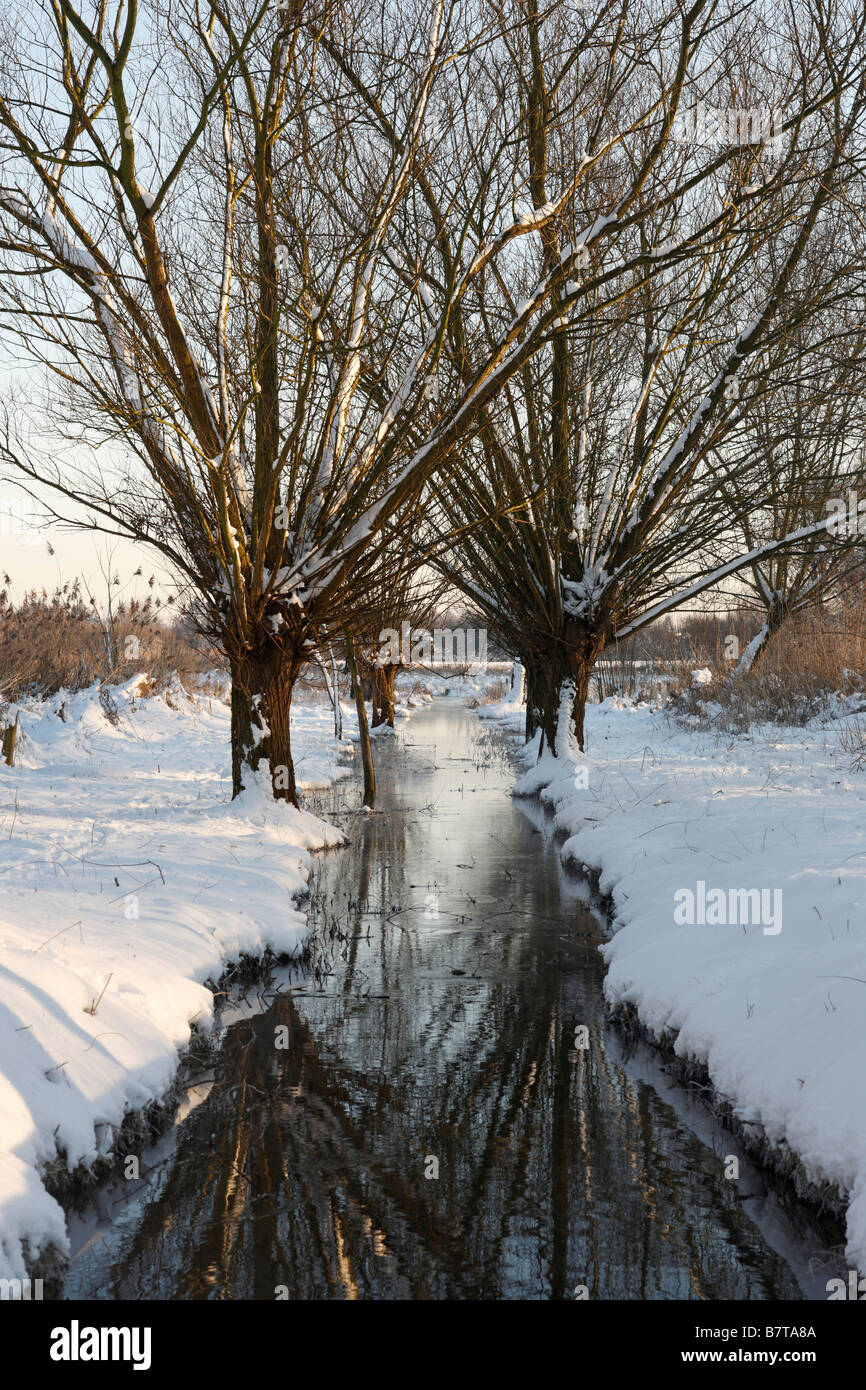 Krefeld, Niepkuhlen, Naturschutzgebiet, Niederrheinlandschaft mit Kopfweiden und Bach im Schnee Stock Photo