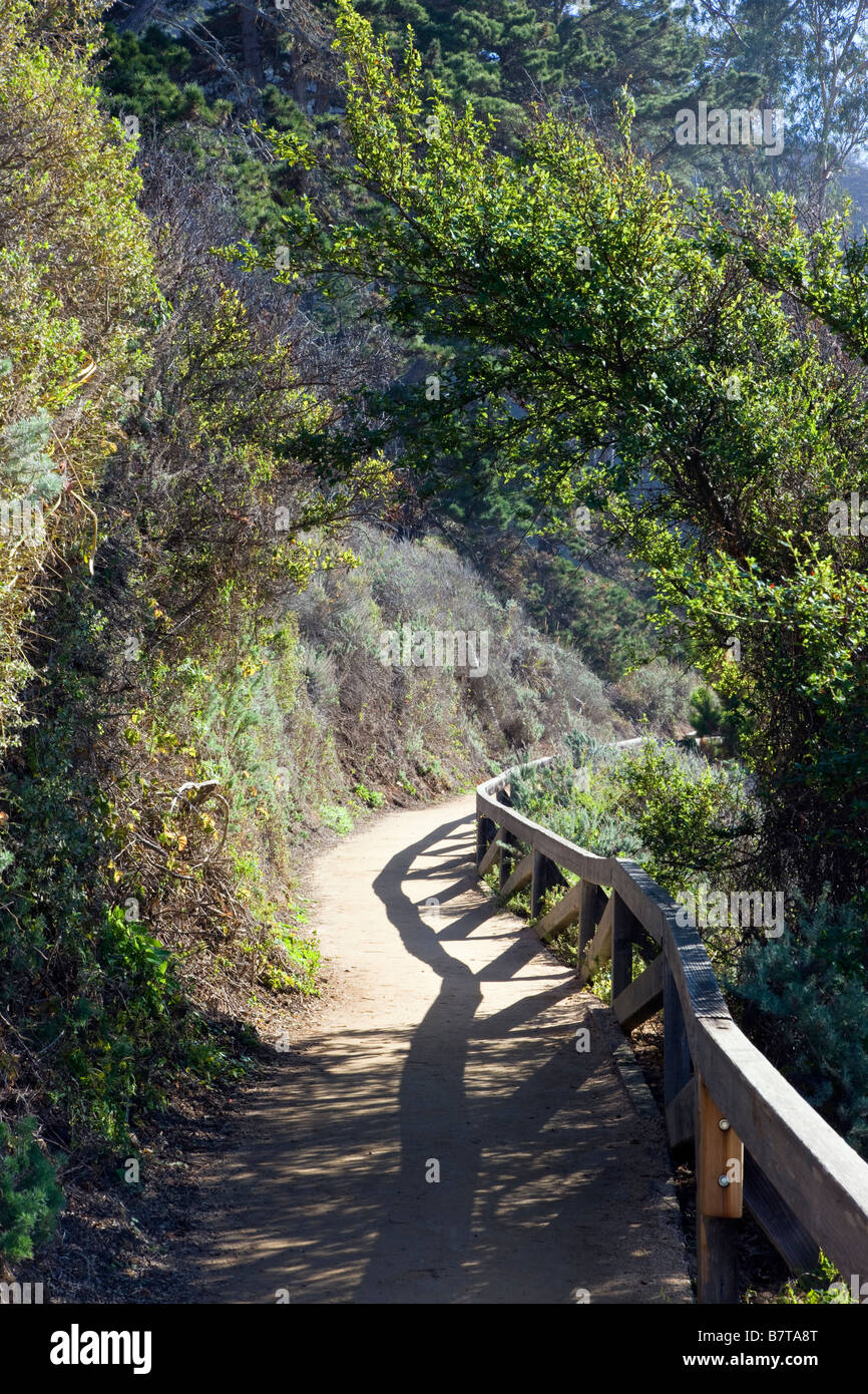 Hiking trail, Julia Pfeiffer Burns State Park, Big Sur, California, USA Stock Photo