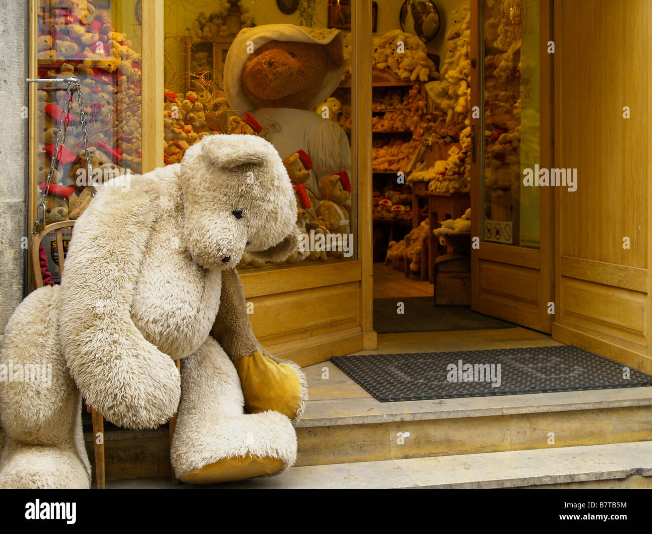 giant teddy bear shop