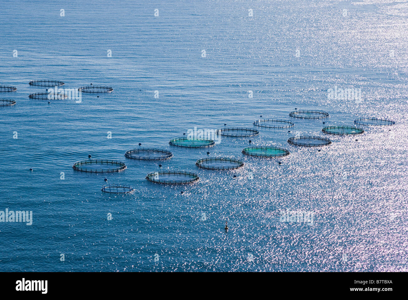 Aquaculture Fish Farm, Costa Tropical, Granada, Spain Stock Photo - Alamy