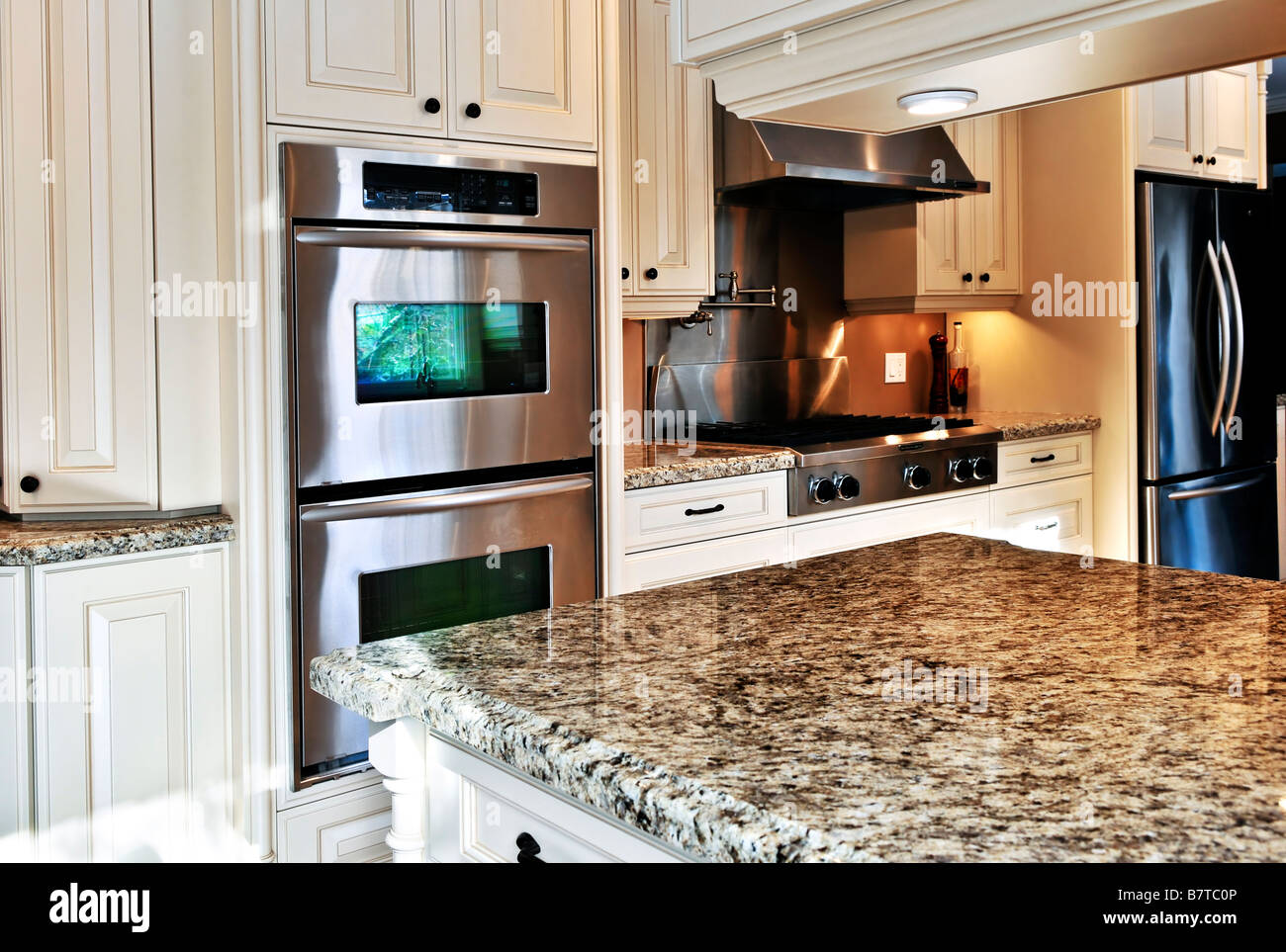 Interior of modern luxury kitchen with stainless steel appliances Stock ...