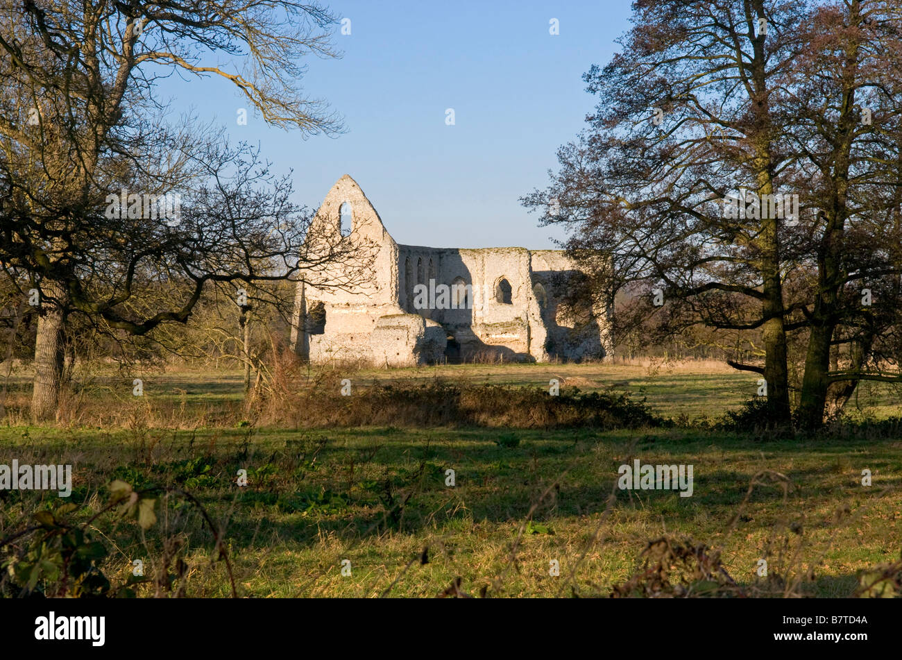 The ruins of Newark Priory in Pyrford, Surrey, England Stock Photo Alamy