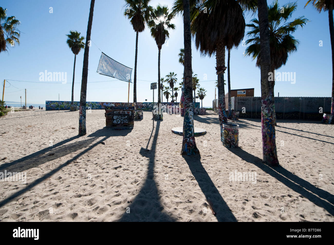 Palm Trees with graffiti at Venice Beach in California Stock Photo Alamy
