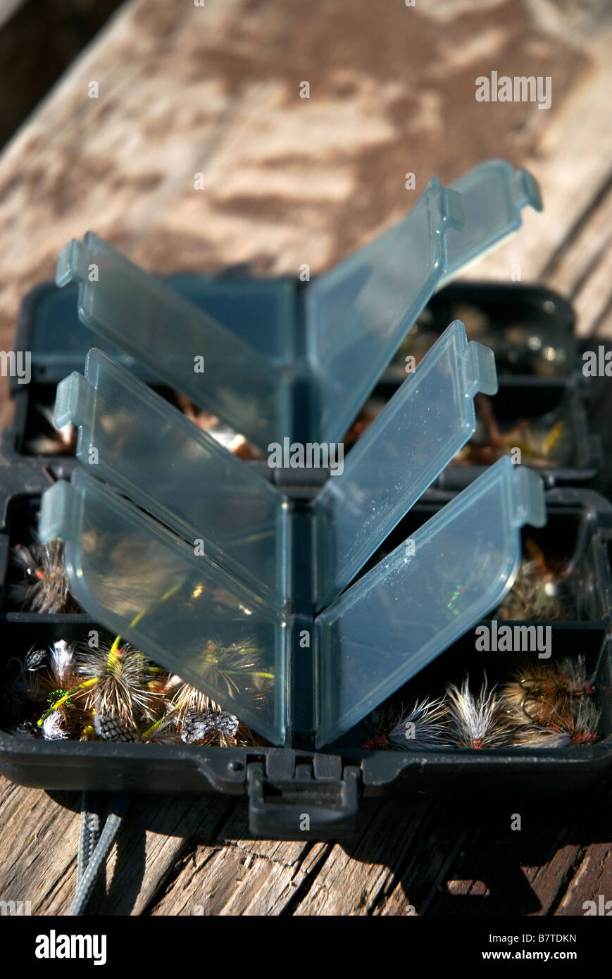 fly fly fishing fly box filled with dry flies for trout Stock Photo - Alamy