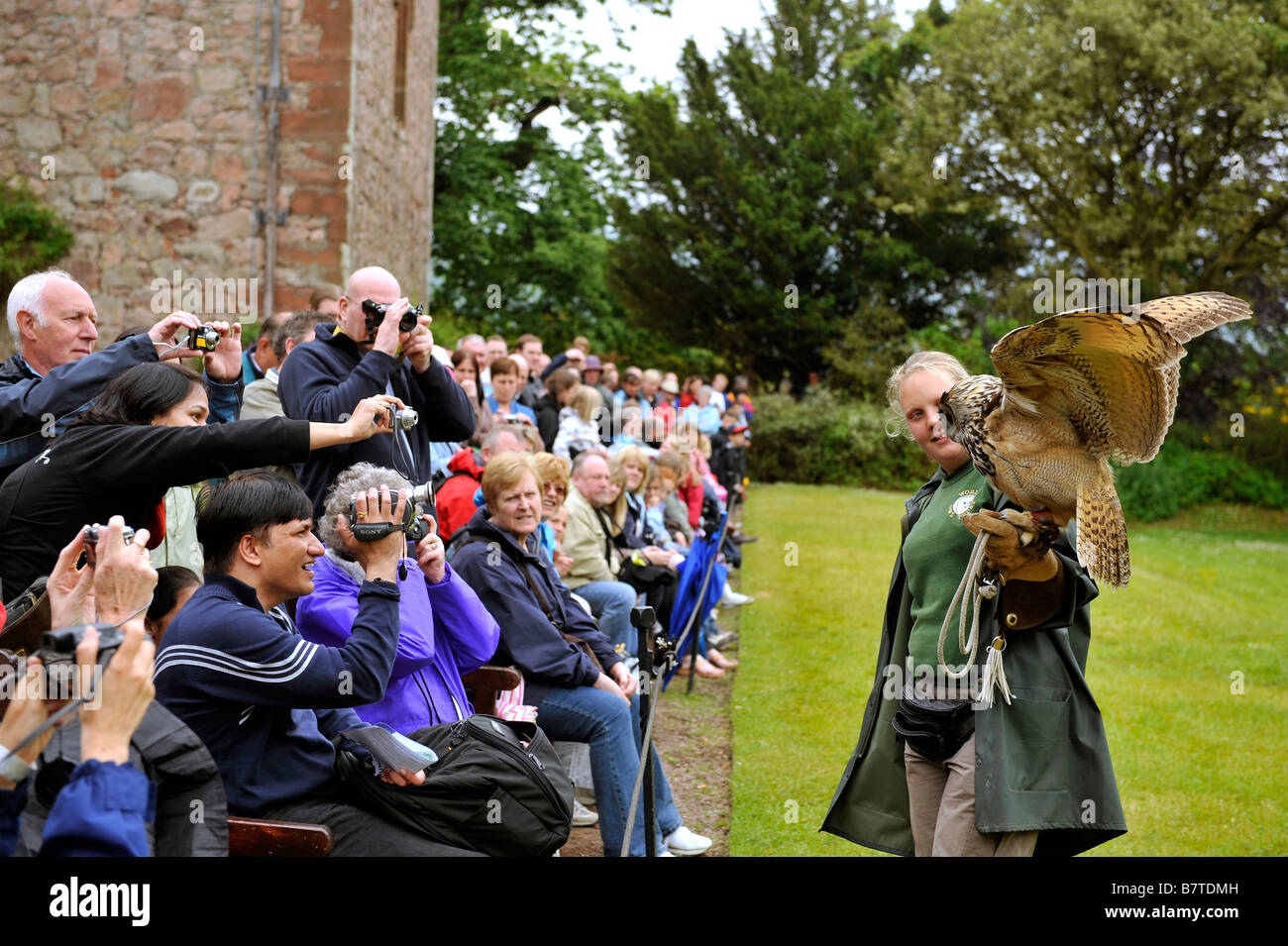 Crowds watch the owl display European Eagle Owl Bubo Bubo and falconry handler at World Owl Trust Muncaster Castle Cumbria Stock Photo