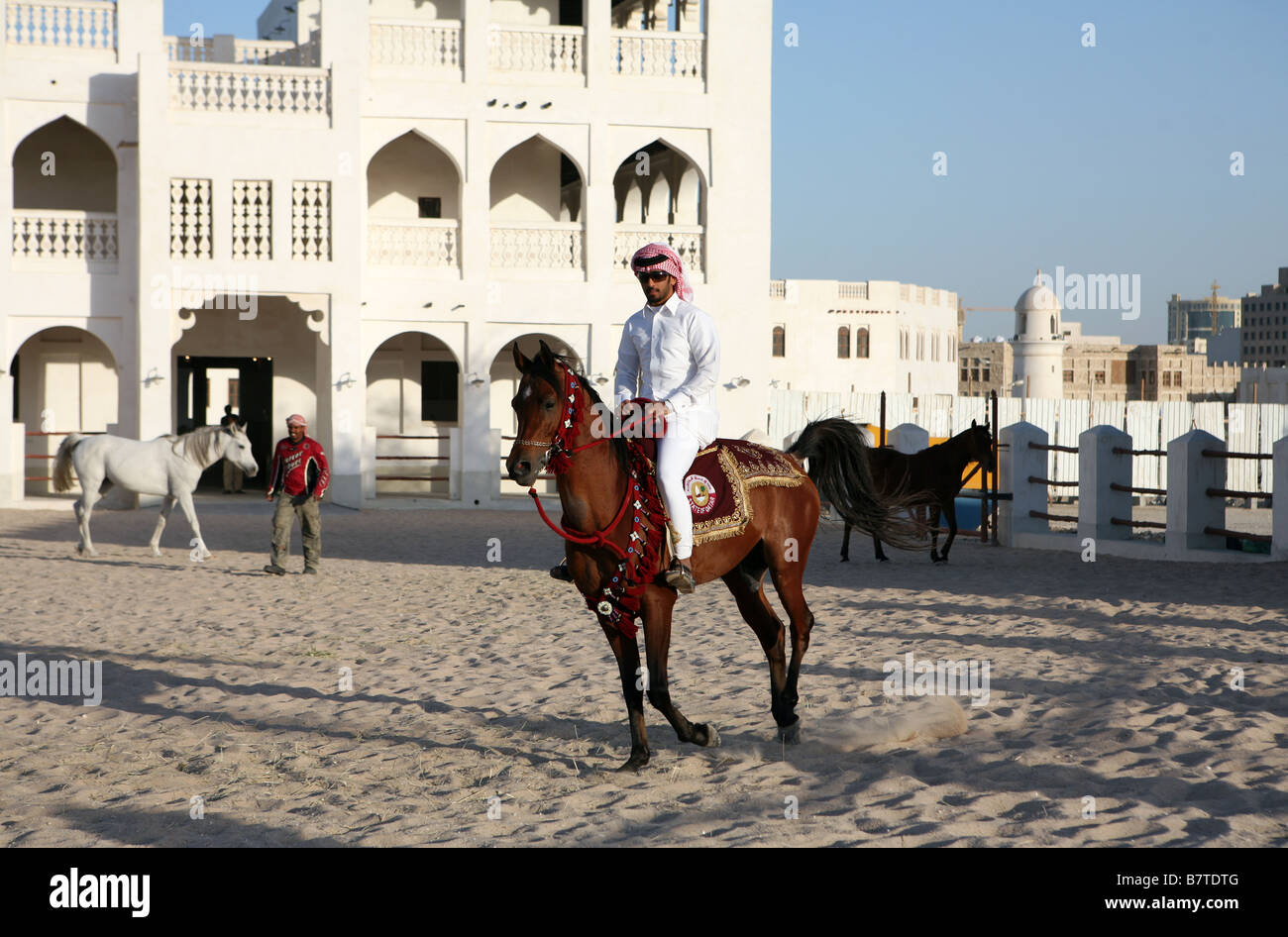 A rider shows off a pure bred Arab stallion its saddle adorned with the State of Qatar arms. Stock Photo