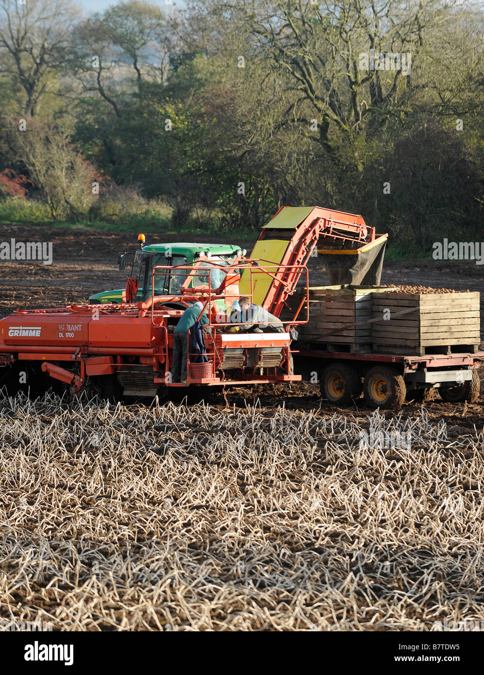 Using farm machinery to pick potatos Stock Photo