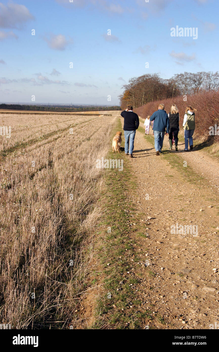 Family out walking the dog in the Suffolk countryside, Newmarket Suffolk Stock Photo