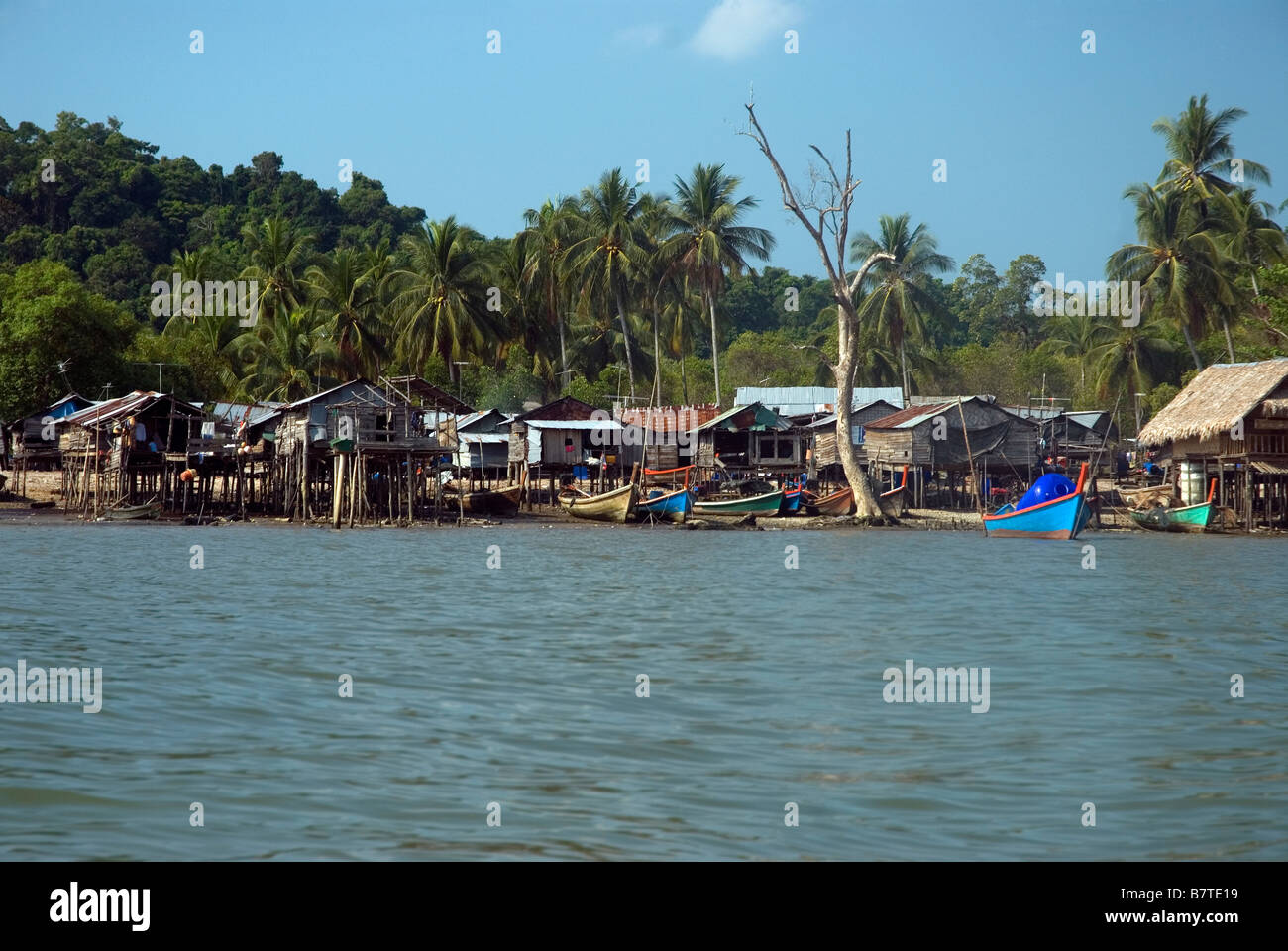 Sea sea gypsy hires stock photography and images Alamy