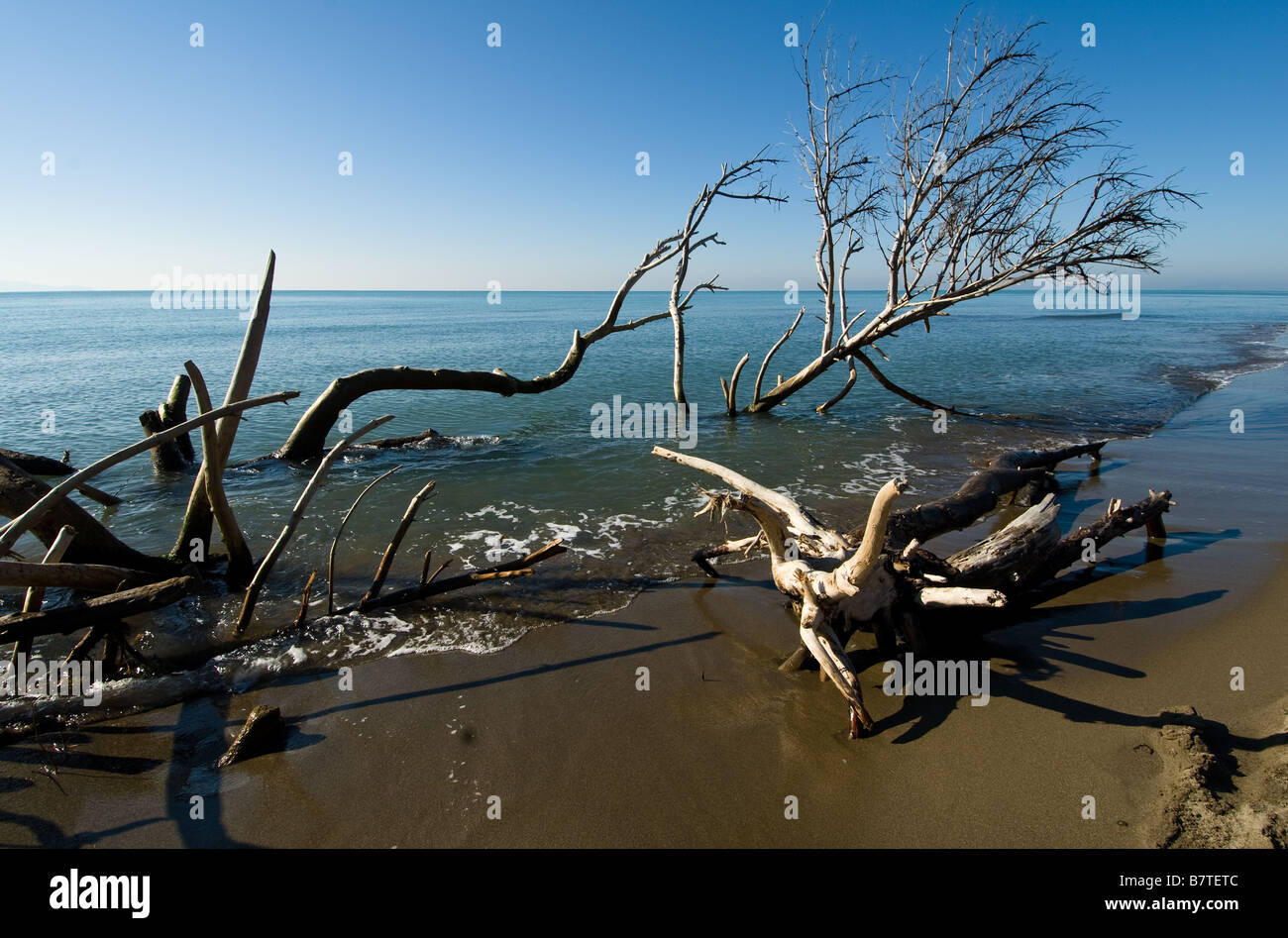 coastal landscape of the National Park of Maremma in Tuscany Stock Photo
