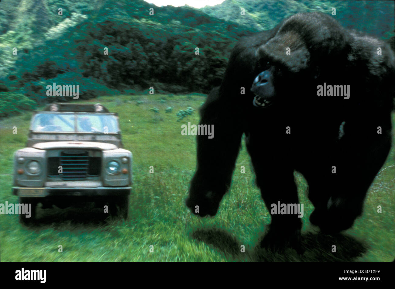 Mighty Joe Young  Year: 1998  USA Director: Ron Underwood Stock Photo