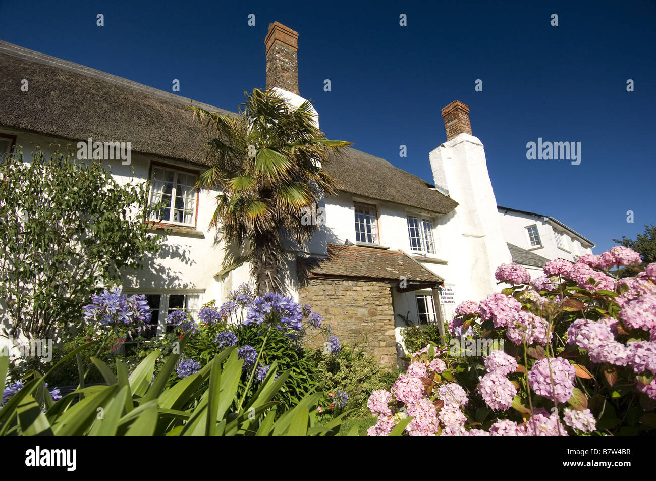 Sunny thacthed cottage in the village of Croyde, North Devon Stock Photo
