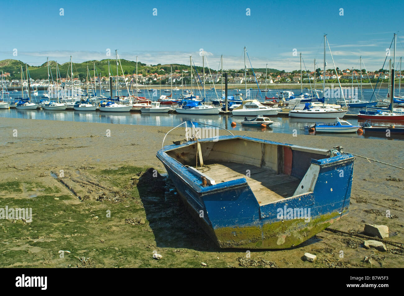 Old blue boat dragged up the beach at Conwy with many boats and yachts moored on the river behind Stock Photo