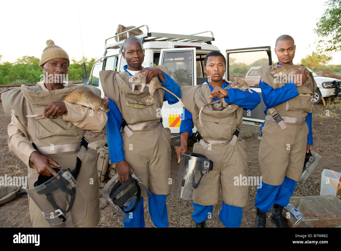 Mine Detection Stock Photos & Mine Detection Stock Images Alamy