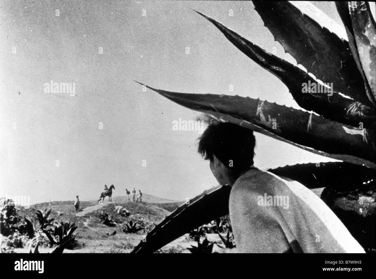 Que viva mexico que viva hi-res stock photography and images - Alamy